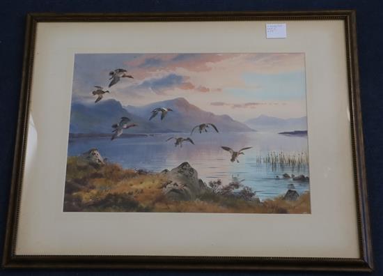 § John Cyril Harrison (1898-1985) Early Morning Widgeon 18.5 x 13in.